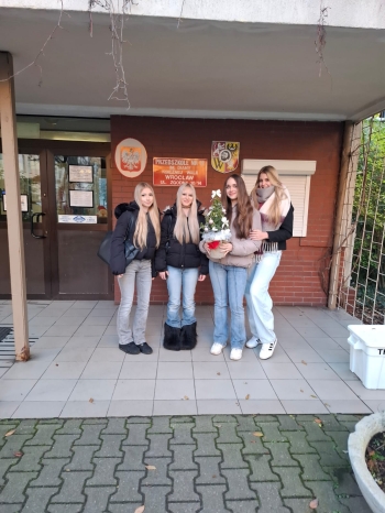 WhatsApp Image 2025-12-12 at 16.45.47.jpeg