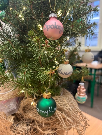 WhatsApp Image 2025-12-16 at 09.16.49(2).jpeg